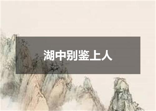 湖中别鉴上人