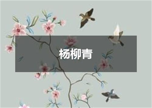 杨柳青
