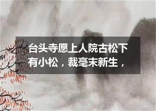 台头寺愿上人院古松下有小松，裁毫末新生，