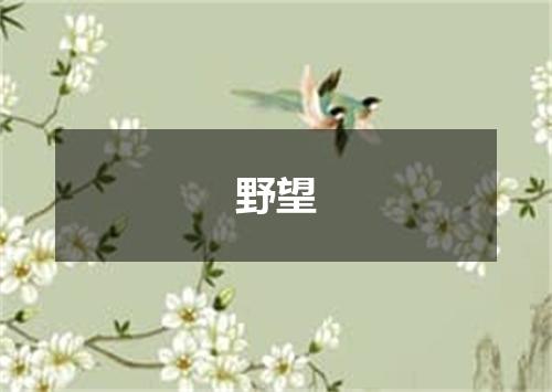 野望