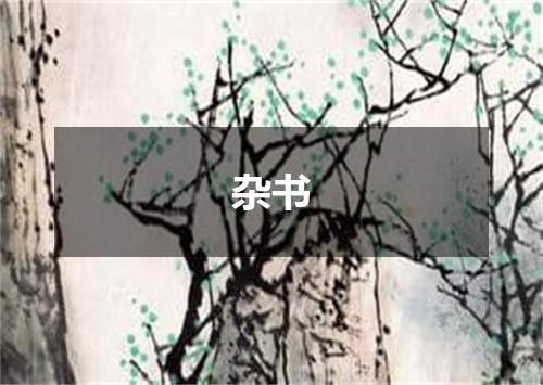 杂书