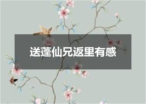 送蓬仙兄返里有感