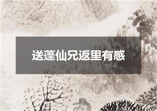 送蓬仙兄返里有感