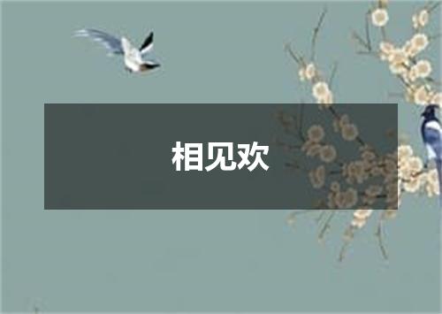 相见欢