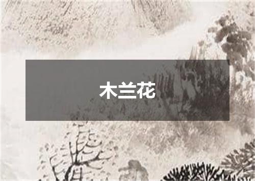 木兰花