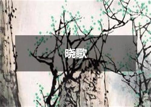 晓歌