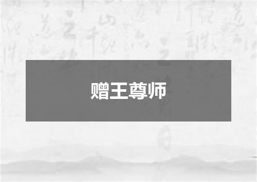 赠王尊师