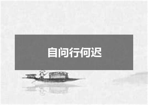 自问行何迟