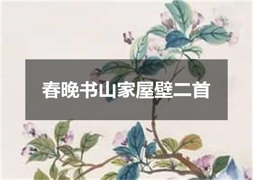 春晚书山家屋壁二首