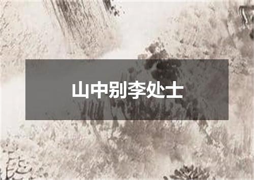 山中别李处士