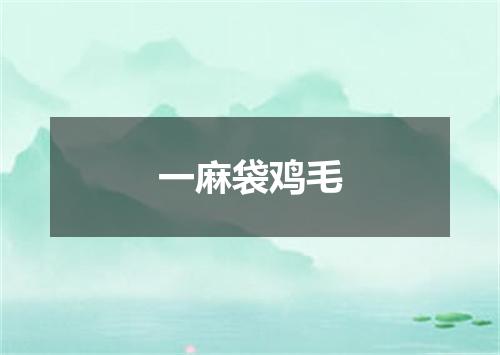 一麻袋鸡毛