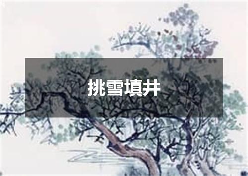 挑雪填井