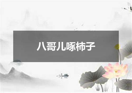 八哥儿啄柿子
