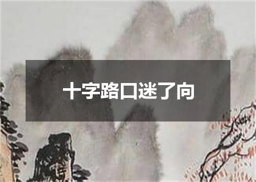 十字路口迷了向