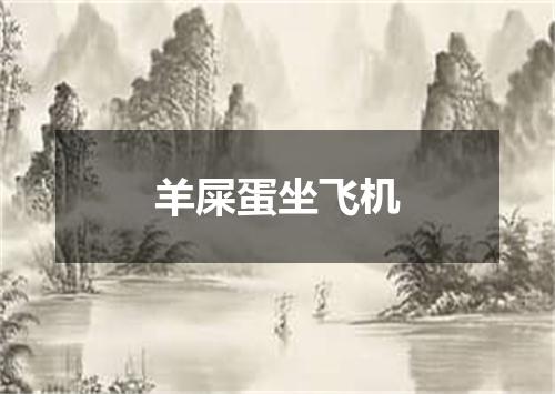 羊屎蛋坐飞机