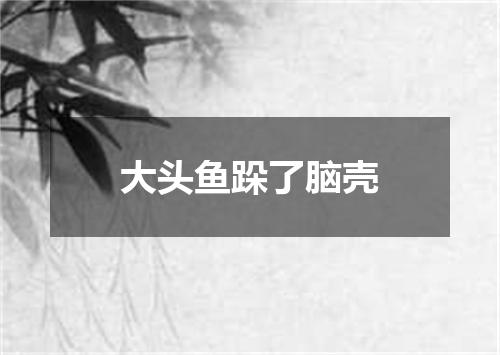 大头鱼跺了脑壳