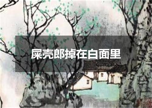 屎壳郎掉在白面里
