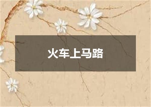 火车上马路