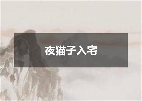 夜猫子入宅