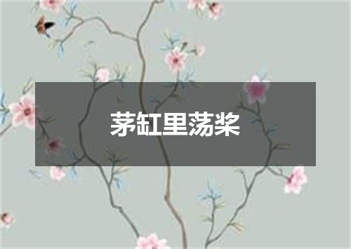 茅缸里荡桨