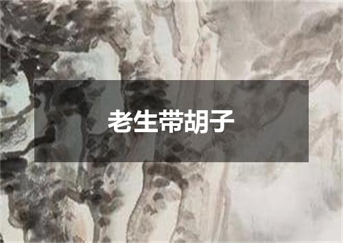 老生带胡子