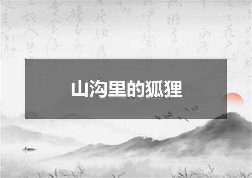 山沟里的狐狸