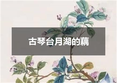 古琴台月湖的藕