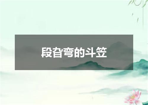 段旮弯的斗笠