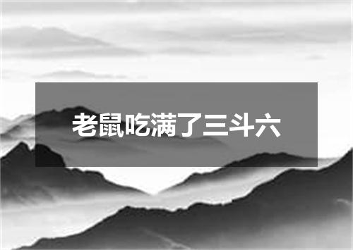 老鼠吃满了三斗六