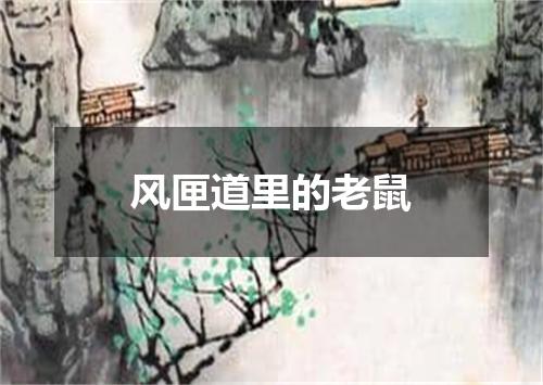 风匣道里的老鼠