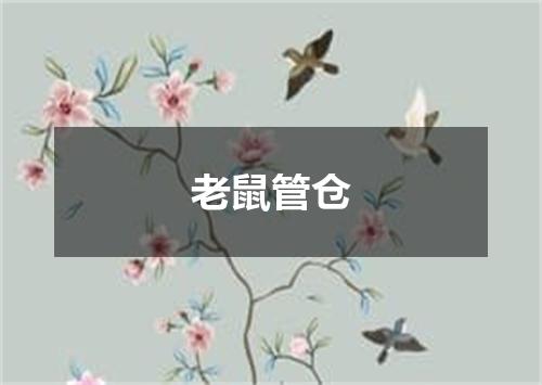 老鼠管仓