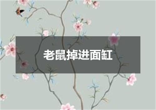老鼠掉进面缸