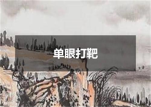 单眼打靶