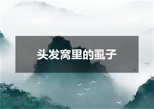 头发窝里的虱子