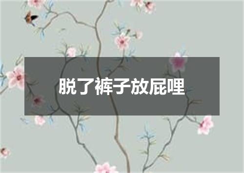 脱了裤子放屁哩