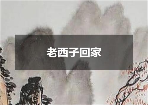 老西子回家