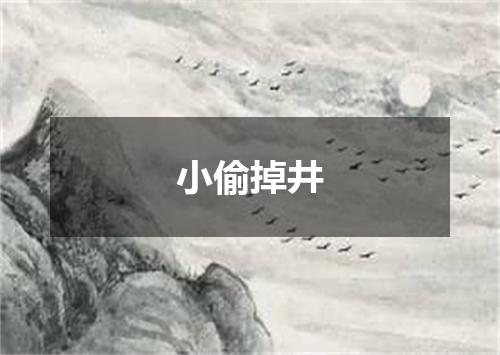 小偷掉井