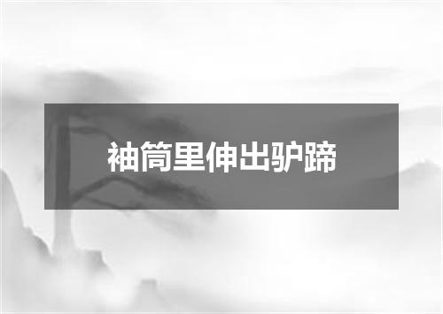 袖筒里伸出驴蹄