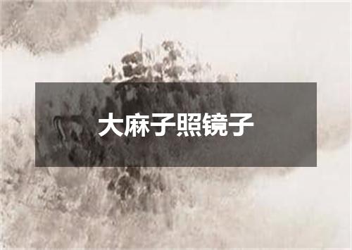 大麻子照镜子
