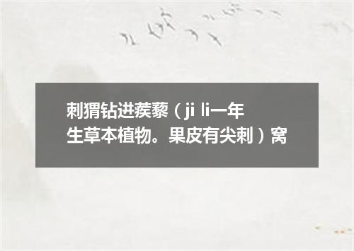刺猬钻进蒺藜（ji li一年生草本植物。果皮有尖刺）窝