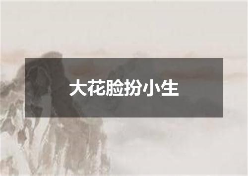 大花脸扮小生