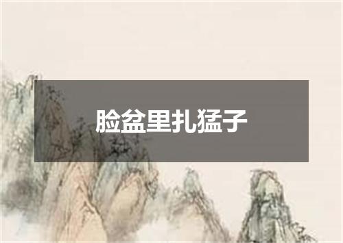 脸盆里扎猛子