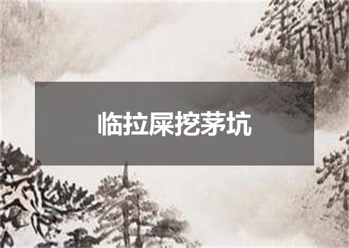 临拉屎挖茅坑