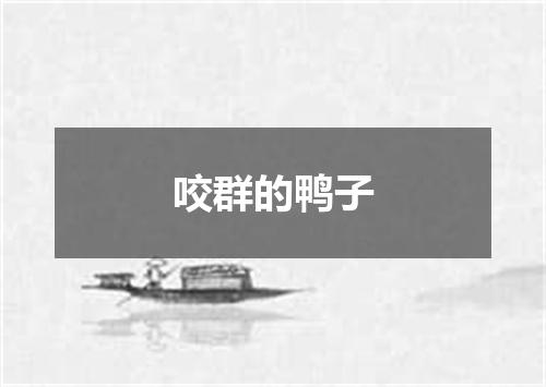 咬群的鸭子