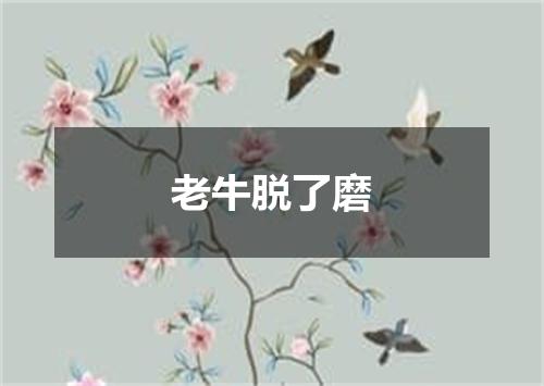 老牛脱了磨