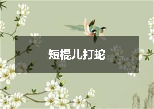 短棍儿打蛇