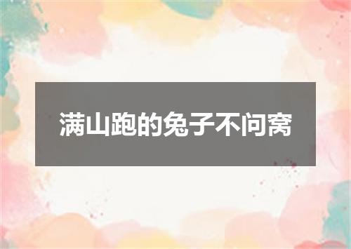 满山跑的兔子不问窝
