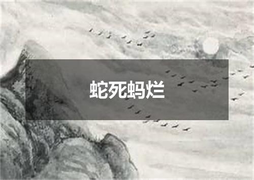 蛇死蚂烂
