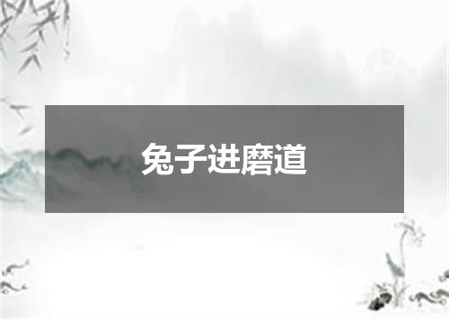 兔子进磨道