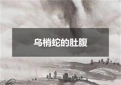 乌梢蛇的肚腹